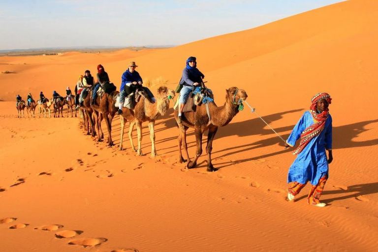 Balade à Dos de Chameau (Sahara)