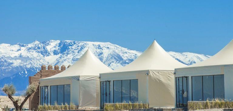 Day Pass – The White Camel
